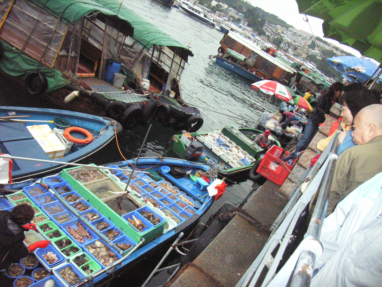 Seafood market in Sai Kung