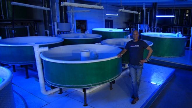 Vertical fish farm