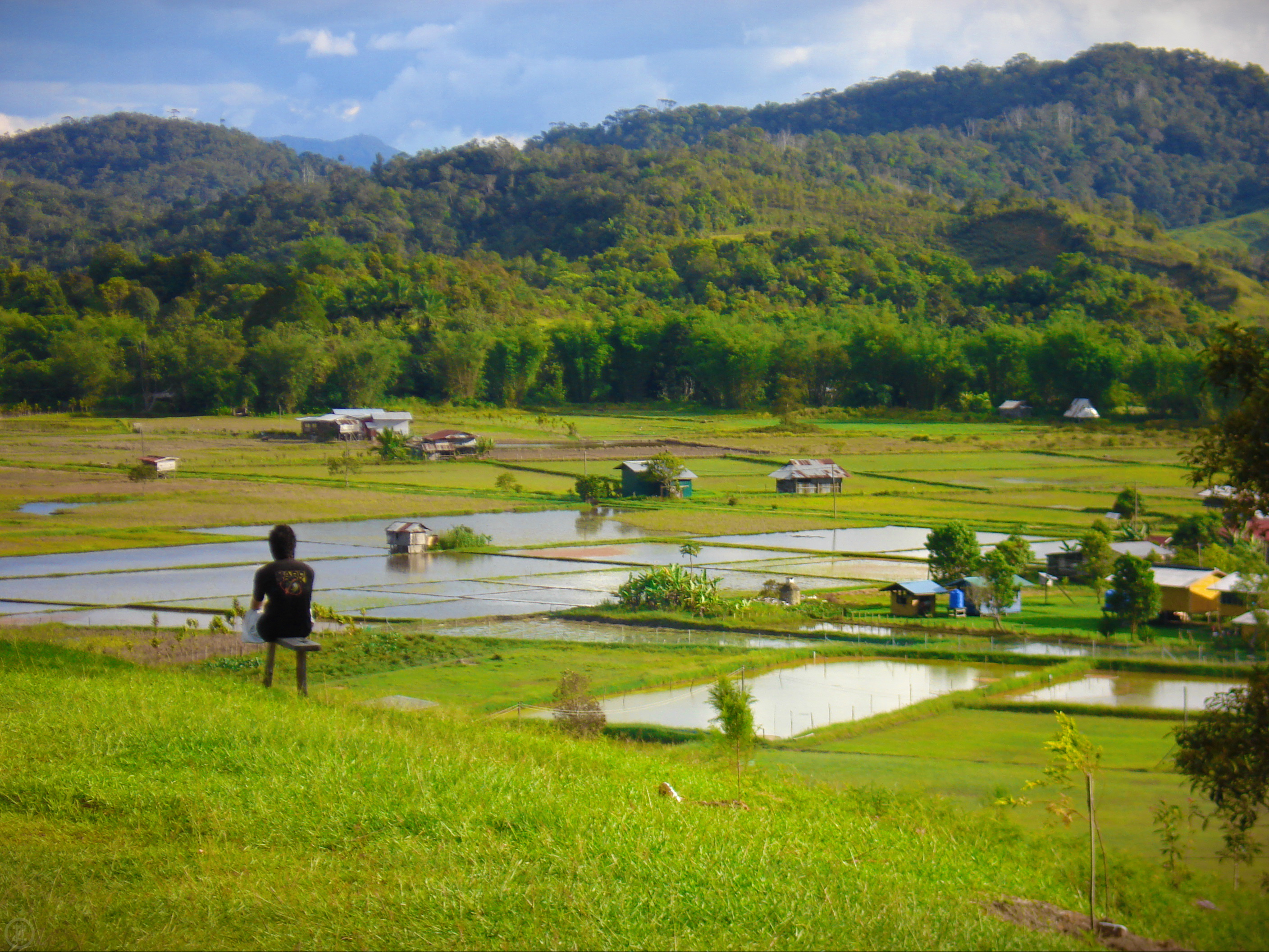 Reducing Poverty with Information and Communication Technologies