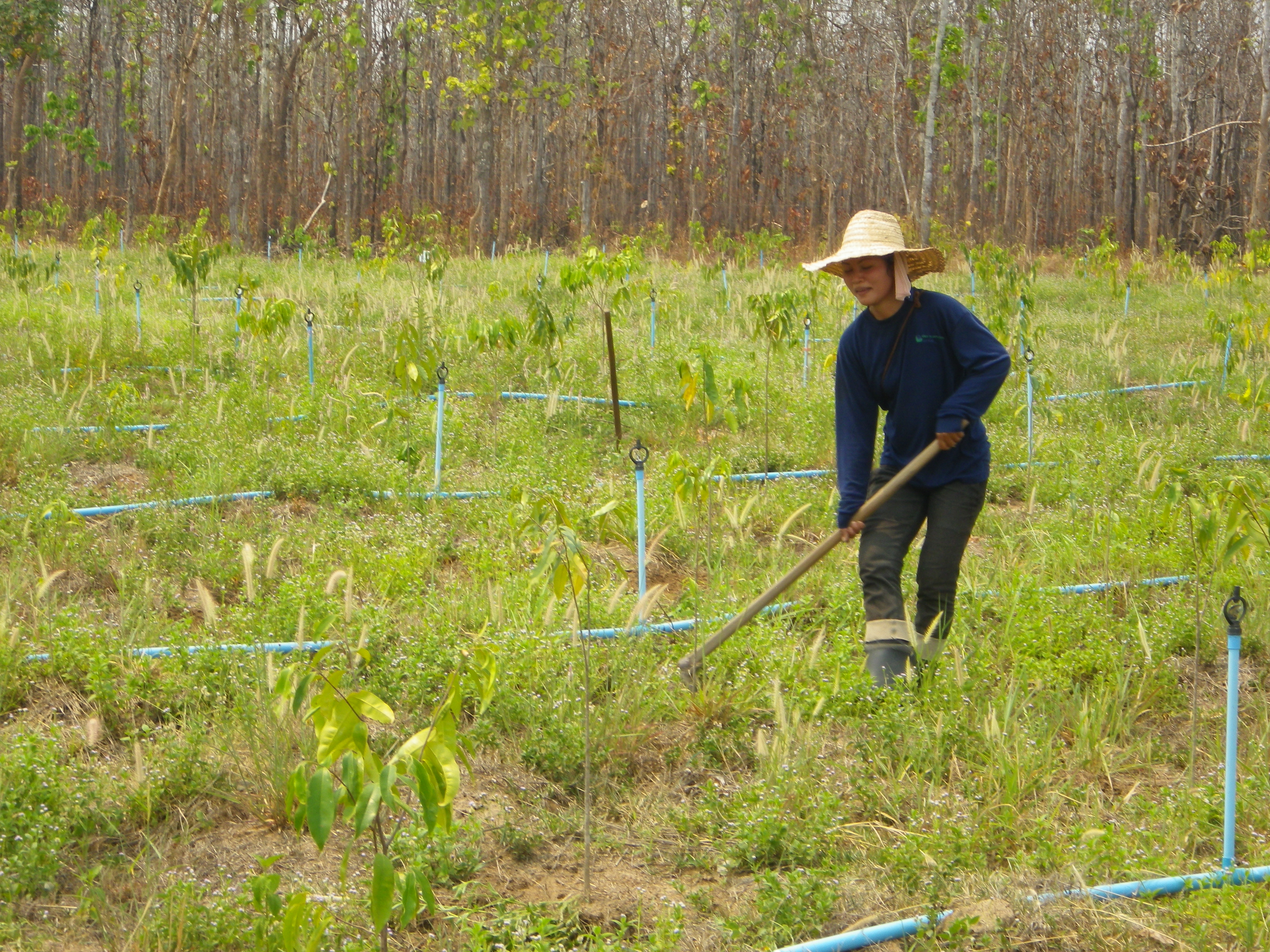 Farming