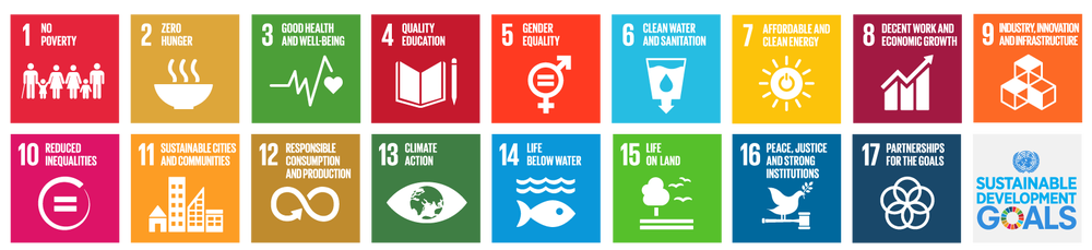 17 SDGs
